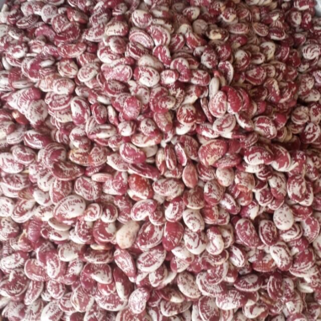 Đậu ngự khô Đà Lạt 1kg
