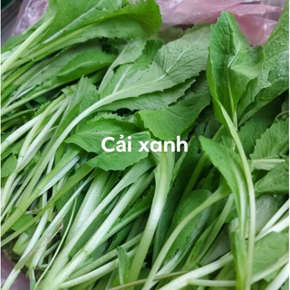 Rau Cải Xanh Sạch Tươi Ngon tại Vườn Q12 1KG Giao HCM