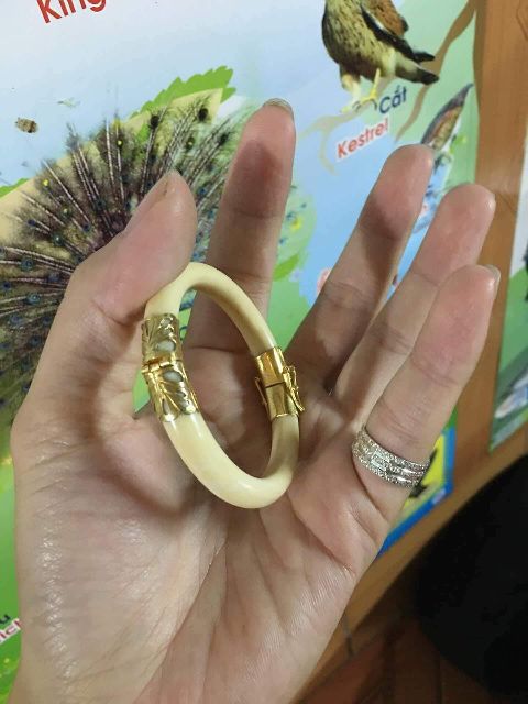 Vòng tay ngà bọc vàng 2 đốt size 4.6cm