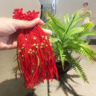 Dây chỉ đỏ may mắn