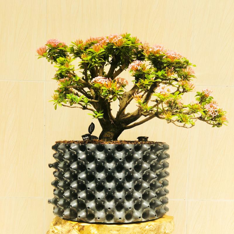 Bầu ươm Φ30*h30cm và đế bầu ươm, Bầu ươm thông minh Hồng Thanh Garden phù hợp mọi loại cây trồng