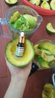 Tinh dầu bơ 10ml (sỉ)