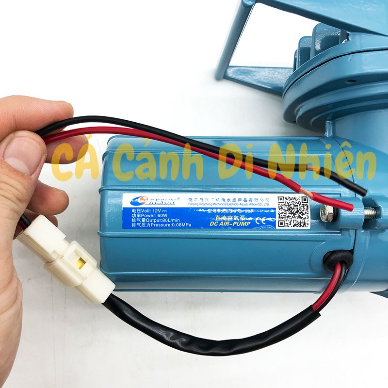 Máy sủi thổi khí oxy 60W Resun MPQ-904 chạy bình ắc quy 12V