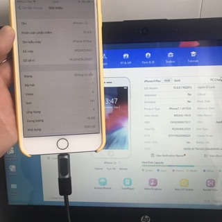 Đầu chuyển type C sang lightning cho iphone ipad Rock