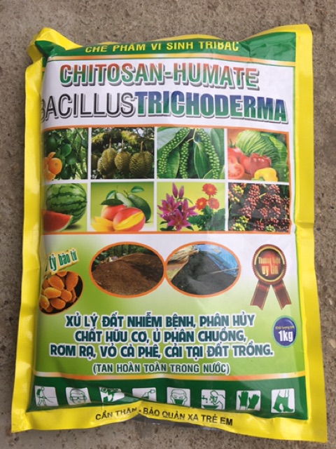 Chế phẩm Trichoderma Chitosan-humate (hạt, tan hoàn toàn trong nước) tưới gốc trị thối rễ, vàng lá trên cây trồng