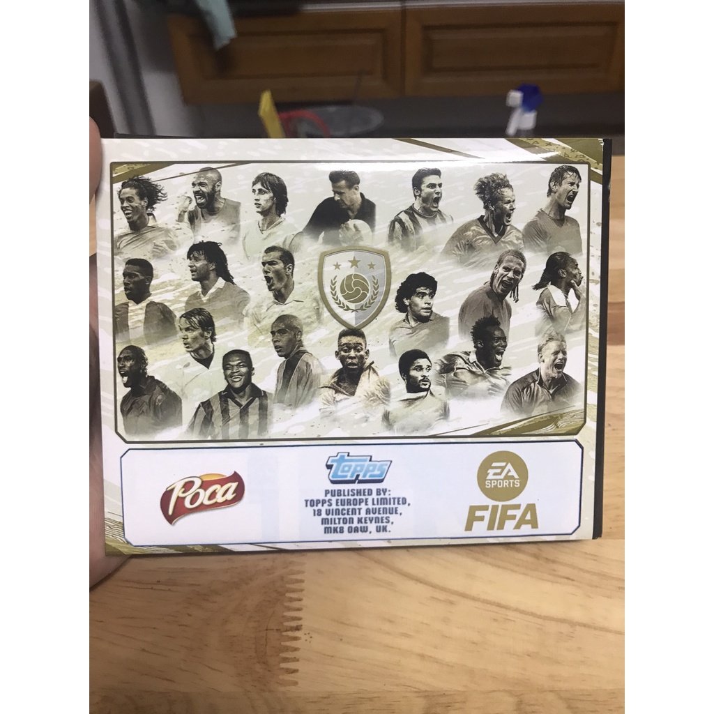 Bộ sưu tập Album 80 thẻ in FO4 ICON Match Attax