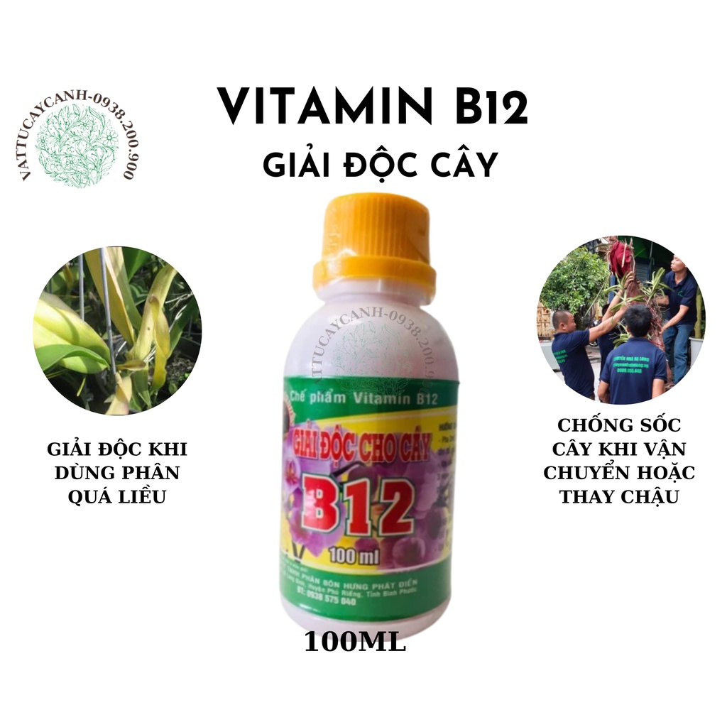 Vitamin B12 Giải Độc Cây trồng chai 100ml