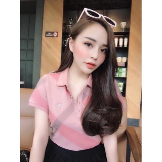Áo polo bbr kẻ cập bến