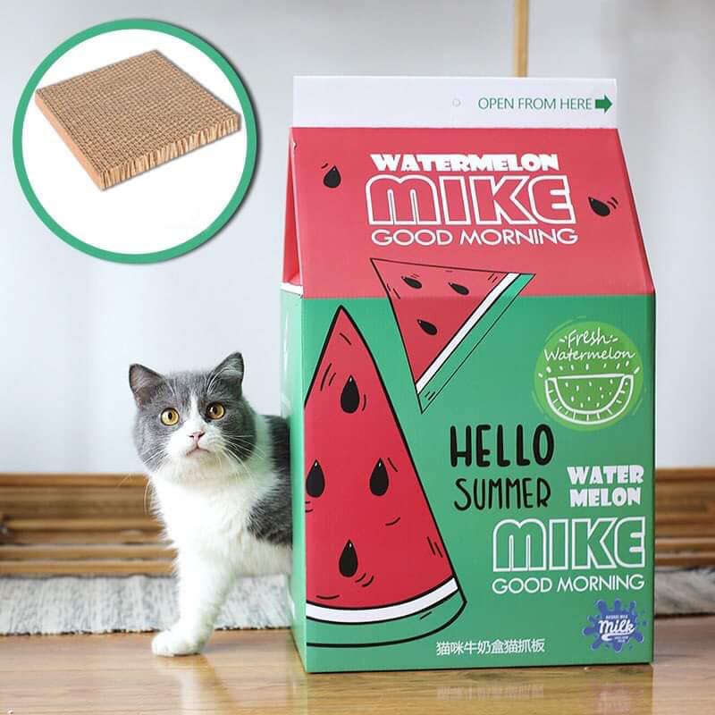 Hộp Box Cào Móng Cho Mèo - Kèm Bàn Giấy Cào Móng (Tặng Catnip)