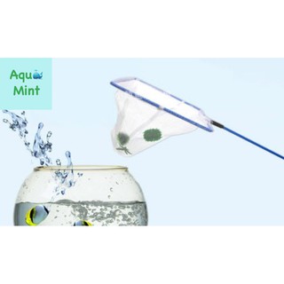 Vợt bắt cá tép số 5
