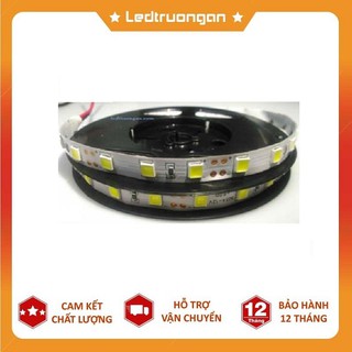 LED DÂY DÁN 5054 SIÊU SÁNG CUỘN 5M