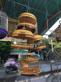 Lồng tròn dành cho cu gáy