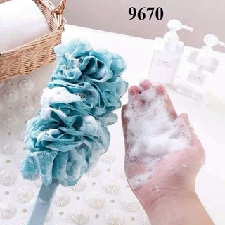 CÂY BÔNG TẮM KỲ LƯNG