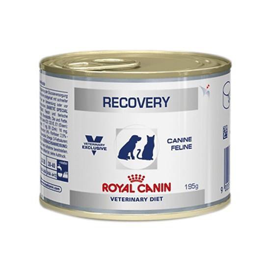 Pate recovery 195g hãng Royal Canin ( phục hồi sức khỏe chó mèo) của royal canin