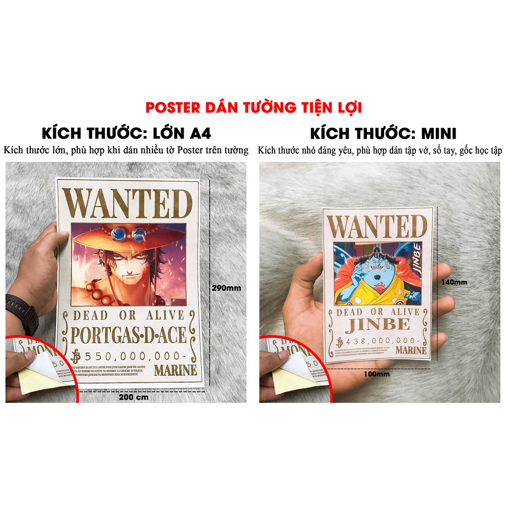 Poster One Piece dán tường, Poster truy nã One Piece có keo dán sẵn tiện lợi hình đẹp Full HD (Cập nhật)