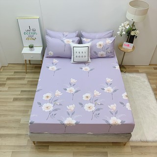 8.GA GỐI LẺ COTTON LỤA ( ảnh shop tự chụp 100%)