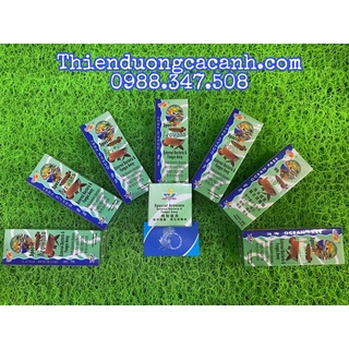 Chai số 3 cho cá rồng