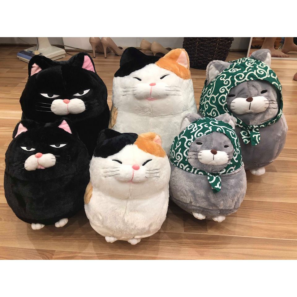 Mèo bông amuse - gấu bông hình con mèo đẹp kích thước 30-40cm 