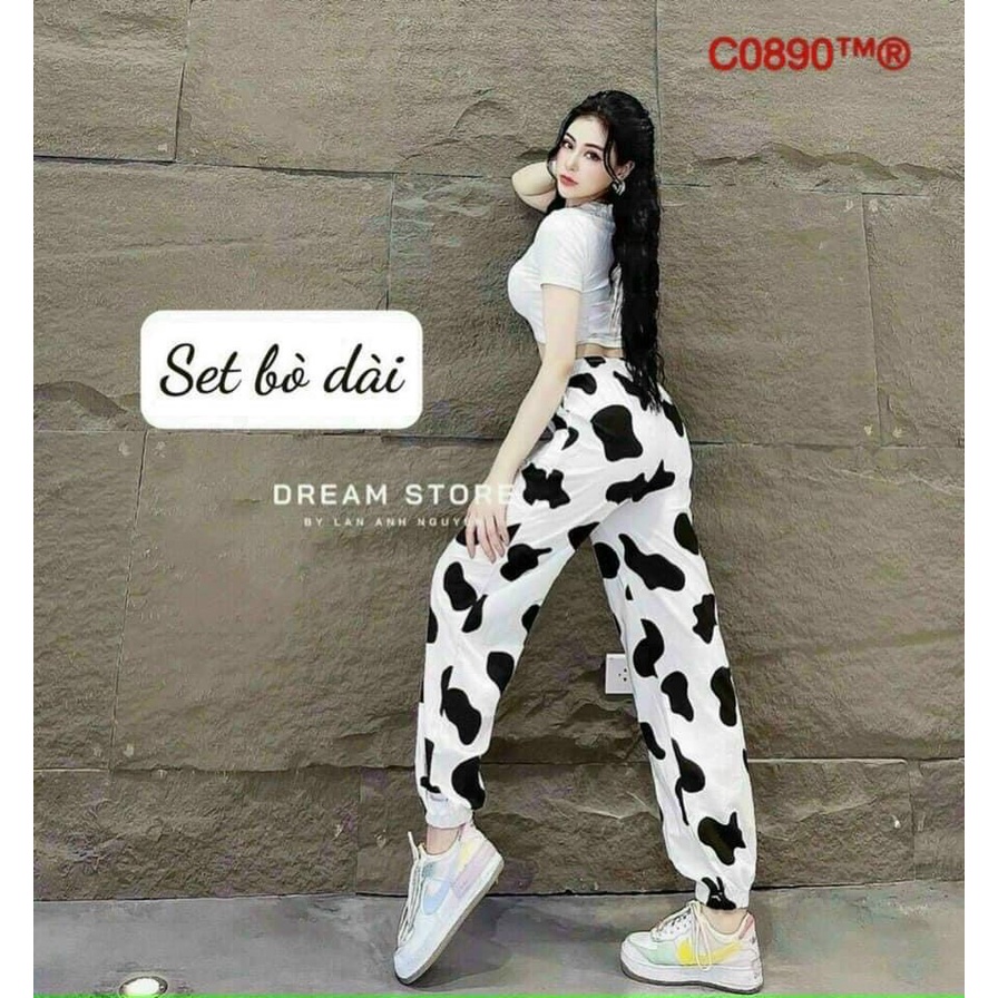 sét bộ joger bò dài