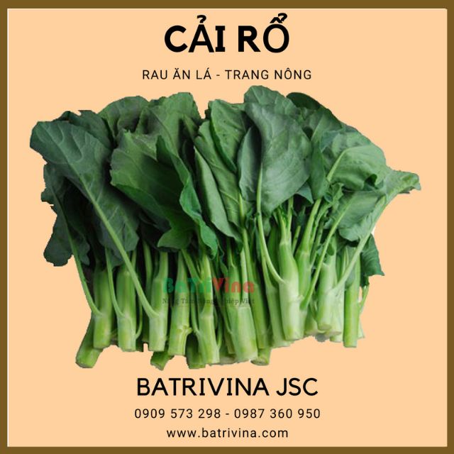 Hạt giống cải làn