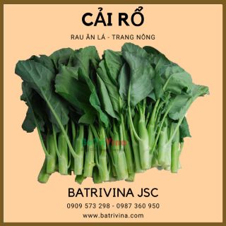 Hạt giống cải làn