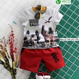 Set tay ngắn bé trai từ 10 đến 30kg
