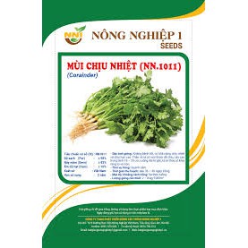 HẠT GIỐNG MÙI CHỊU NHIỆT CAO SẢN