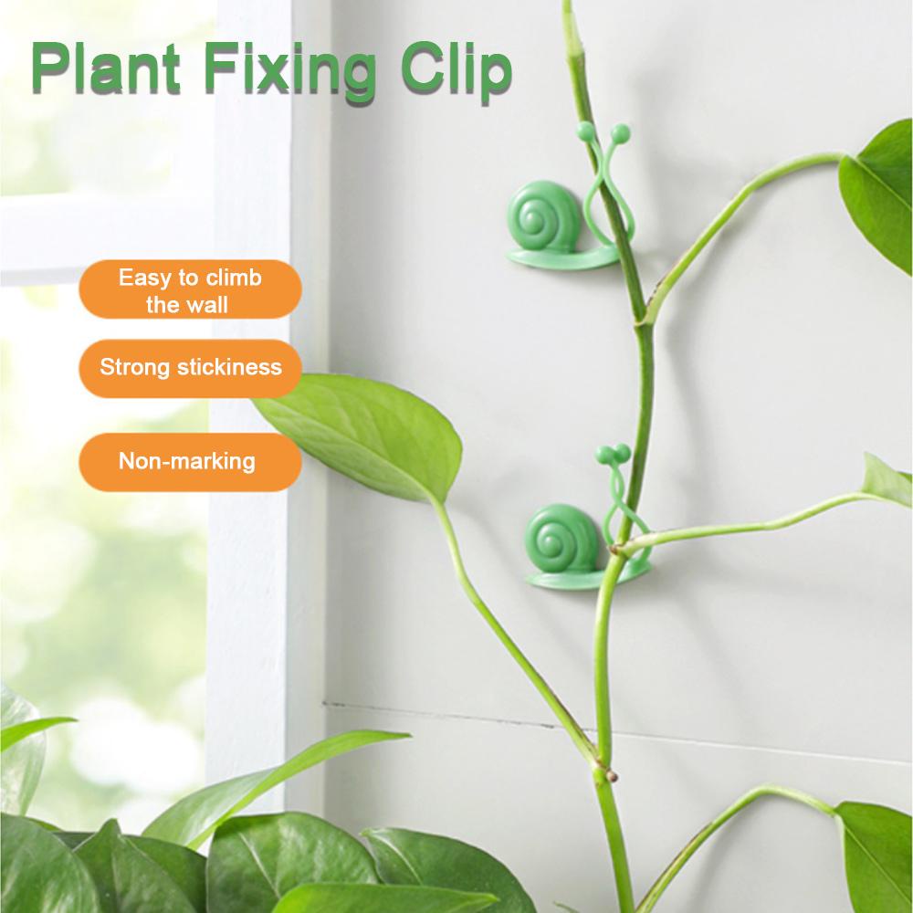 Set 10 Kẹp Cố Định Dây Leo Tiện Lợi