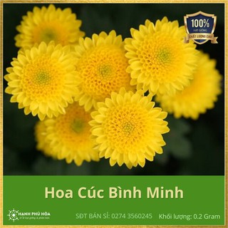 Hạt Giống Hoa Cúc Bình Minh NNX 0.2g/Gói - Năng Suất Cao, Dễ Trồng, Bông To, Nhiều, Màu Hoa Đẹp, Để Được Lâu