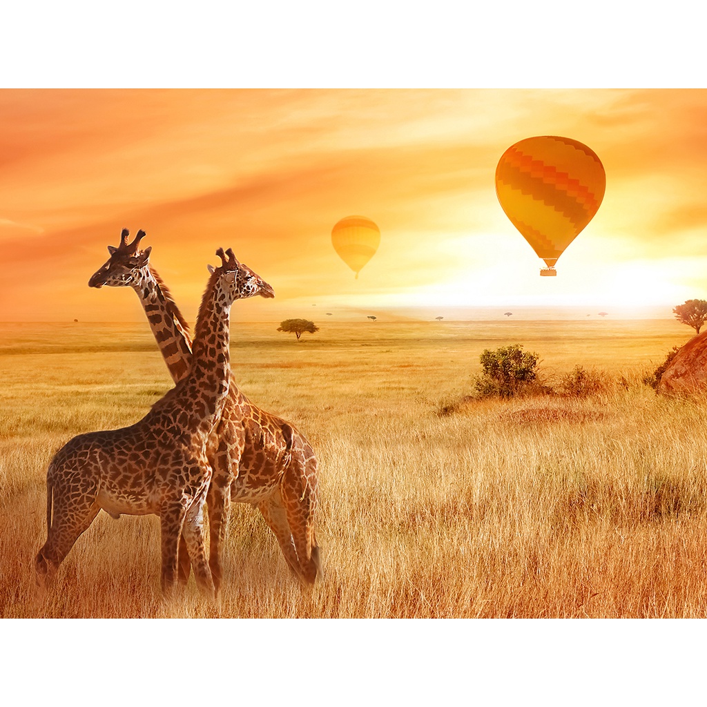 Tranh ghép hình Puzzle gỗ cao cấp VN GIFT - chủ đề phong cảnh  Nhiều kích thước