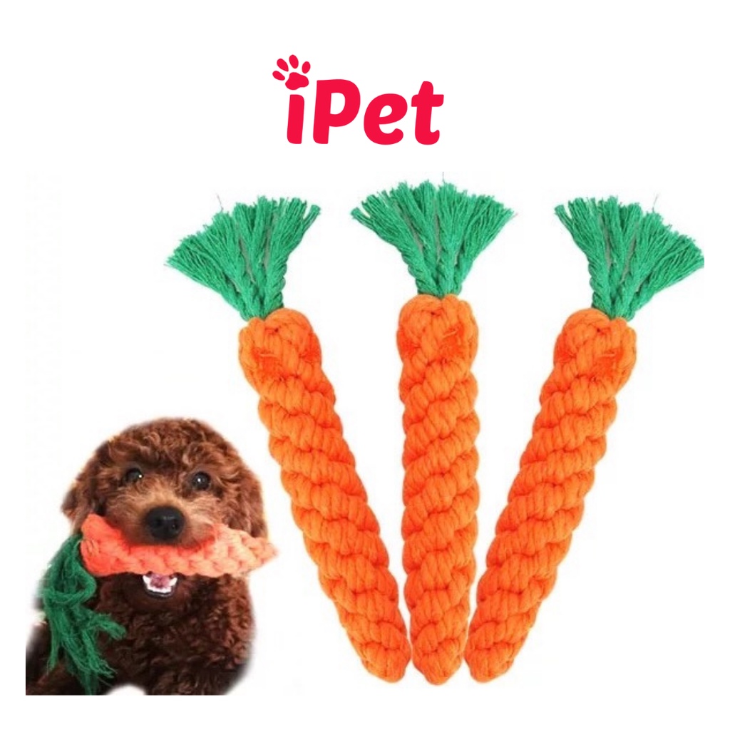 Đồ Chơi Hình Cà Rốt Cho Thú Cưng Chó Mèo Vờn Gặm - iPet Shop