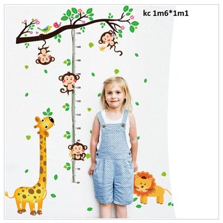 decal dán tường đo chiều cao