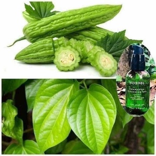 sữa rửa mặt khổ qua soherbs