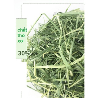 CỎ LÚA MẠCH HÀ LAN 500G CHO THỎ, BỌ