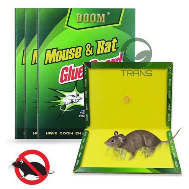 03 miếng keo dính chuột, bẫy bắt chuột siêu dính Glue Traps loại to bắt được cả chuột cống hàng nhập khẩu cao cấp