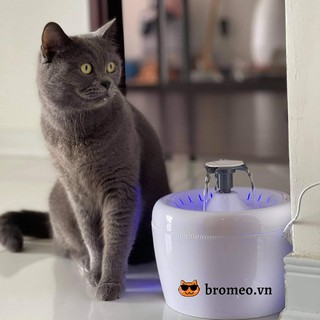 Đài phun nước cho mèo uống els pet 2.5l