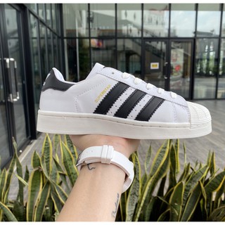 Giày Thể Thao 🌟Giày  Adidas, Superstar 🌟[ Video + Ảnh Thật]