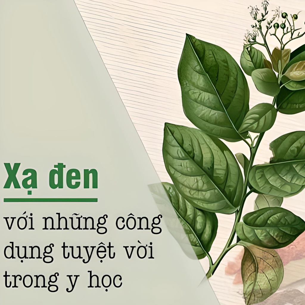 Dược Trà An thần hiệu Thảo An   - HSD 24 tháng