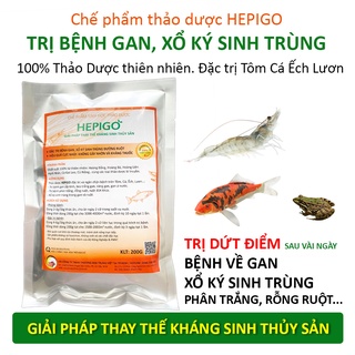 Thảo dược chuyên bệnh gan, xổ ký sinh trùng đường ruột tôm cá ếch lươn. hepigo100% tự nhiên. thay thế cho kháng sinh