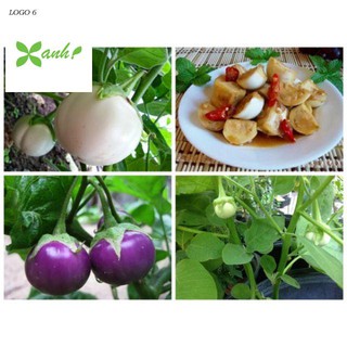 Hạt Giống Cà Pháo Tím 50 HẠT