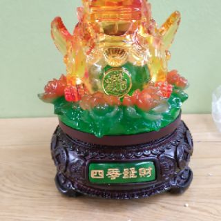 Cóc Kỳ  các cỡ cac màu