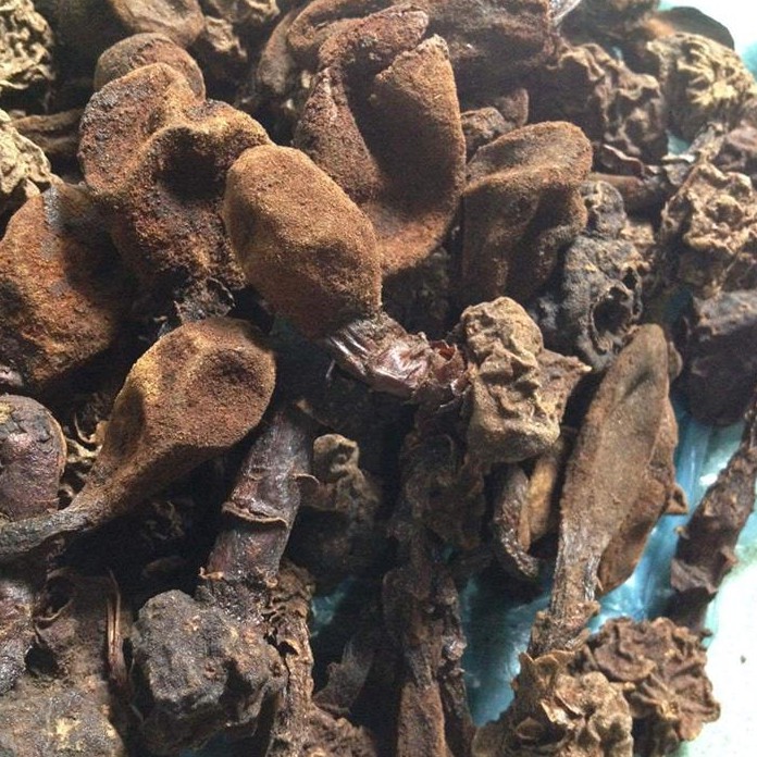 0,5 Kg nấm ngọc cẩu khô Tây Bắc