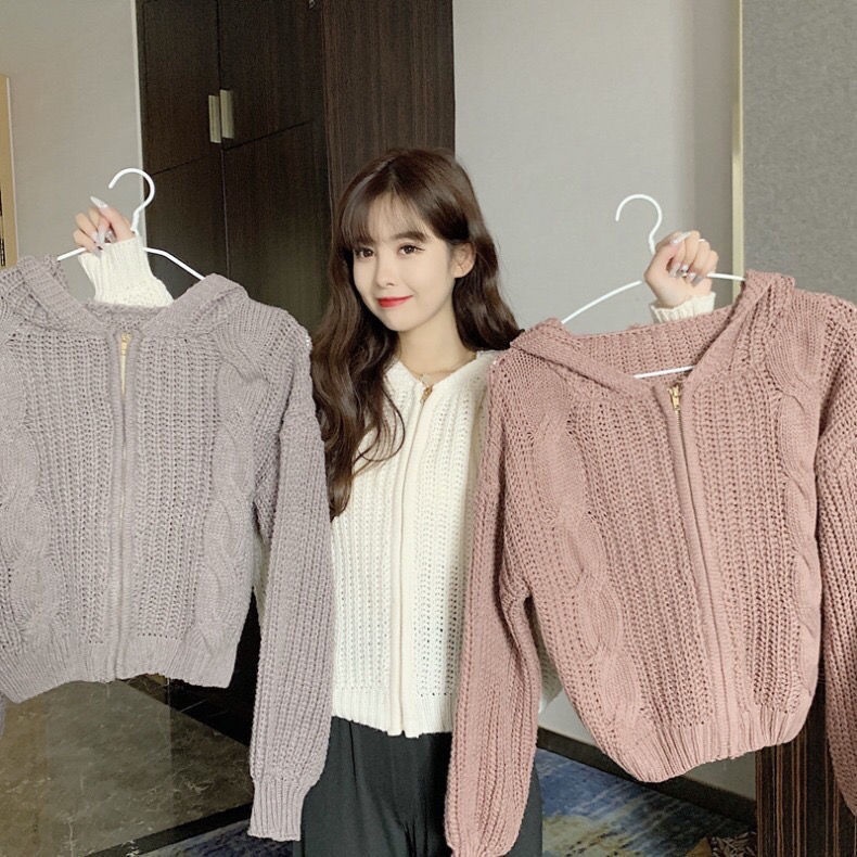 Áo Khoác Len Cardigan Dáng Rộng Có Khóa Kéo Thời Trang Thu Đông Cho Nữ