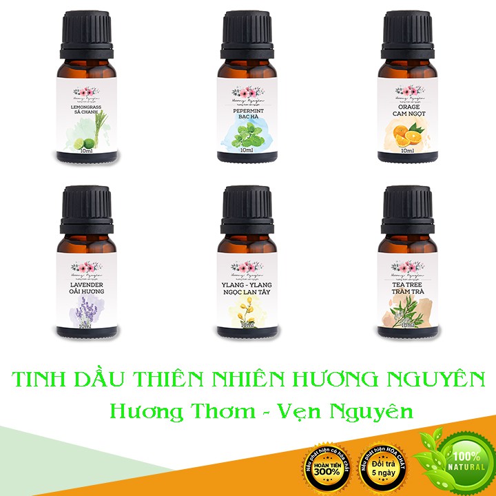 Tinh dầu thiên nhiên Hương Nguyên 10ml | Nhập khẩu Ấn Độ | Hoàn tiền nếu không hài lòng