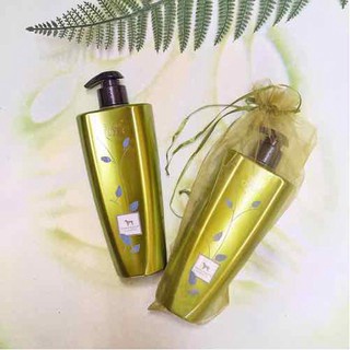 Sữa Tắm Cao Cấp Show Queen Chuyên Dùng Cho Spa Chó Mèo