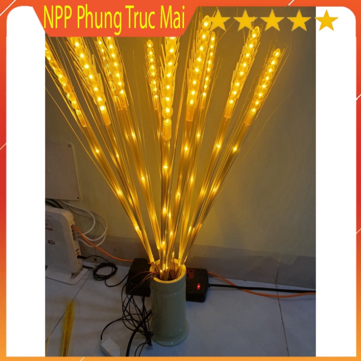 Kèm phích cắm Led Bông Lúa, Trang Trí Tết, Tài, Bàn Thờ Gia Tiên - Đại Diện Cho Sự Âm Lo,Đủ Đầy,Sung Túc Cả Năm 2022