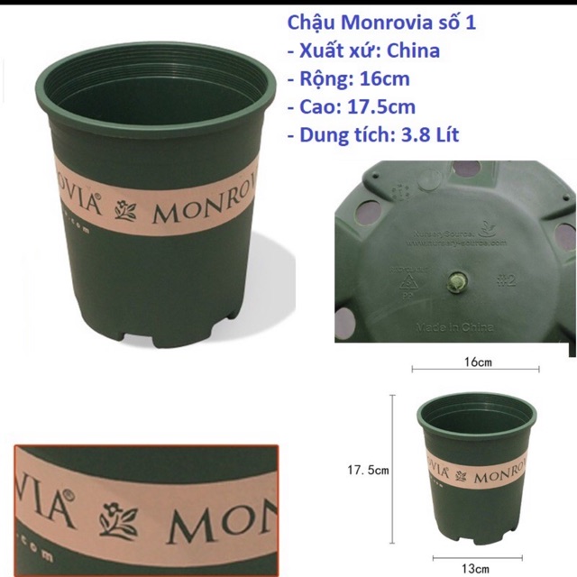 Chậu nhựa trồng cây cao cấp MONROVIA số 1 kèm đĩa lót chậu