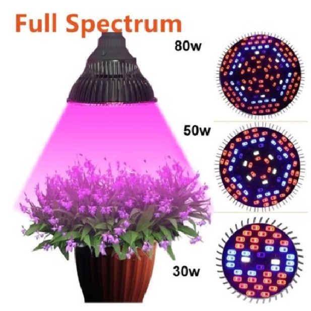 (Sản phẩm hot) Led trồng cây đủ phổ 50w cao cấp