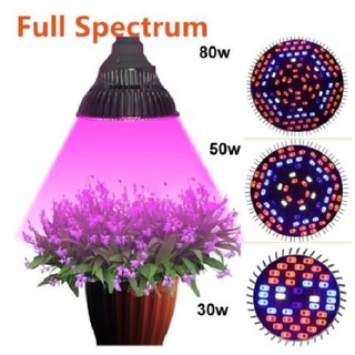 (Sản phẩm hot) Led trồng cây 30w