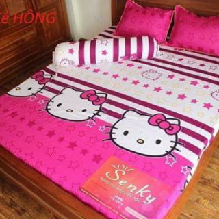 Bộ ga gối cotton nhung